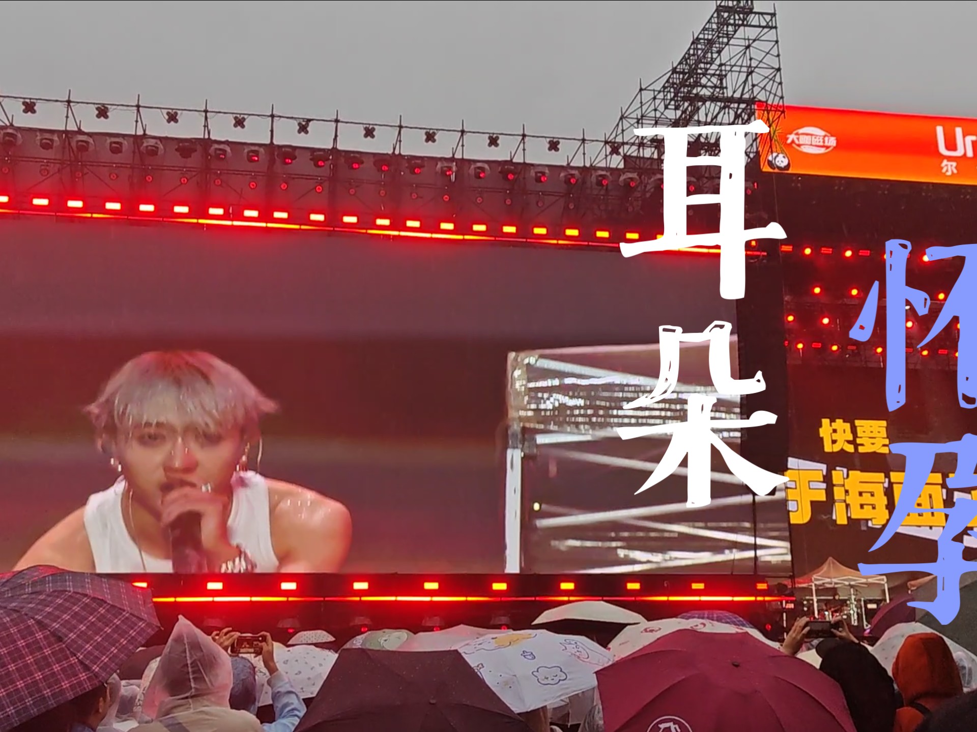 爱游戏推荐2025太阳新秀表现惊艳，全场观众掌声不断，一个图片显示电脑大家地址.