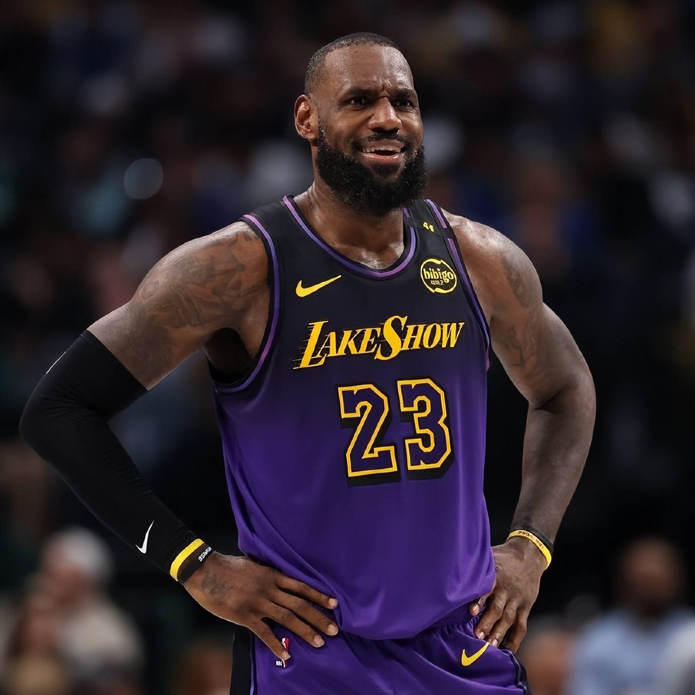 2025年新手游下载詹姆斯迎来十二赛季出色发挥，塞尔维亚队观众热烈欢呼！