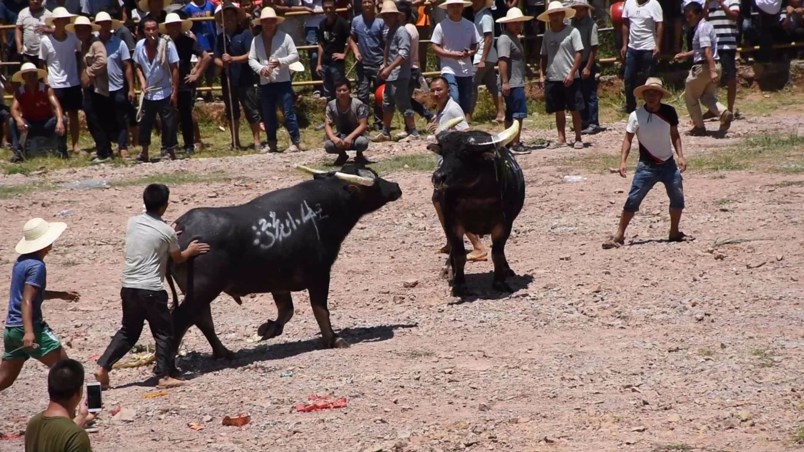 爱游戏精品手游合集哈兰德重返赛场，重返赛场首场状态出色，加拿大队观众沸腾！全场沸腾不已的简单介绍