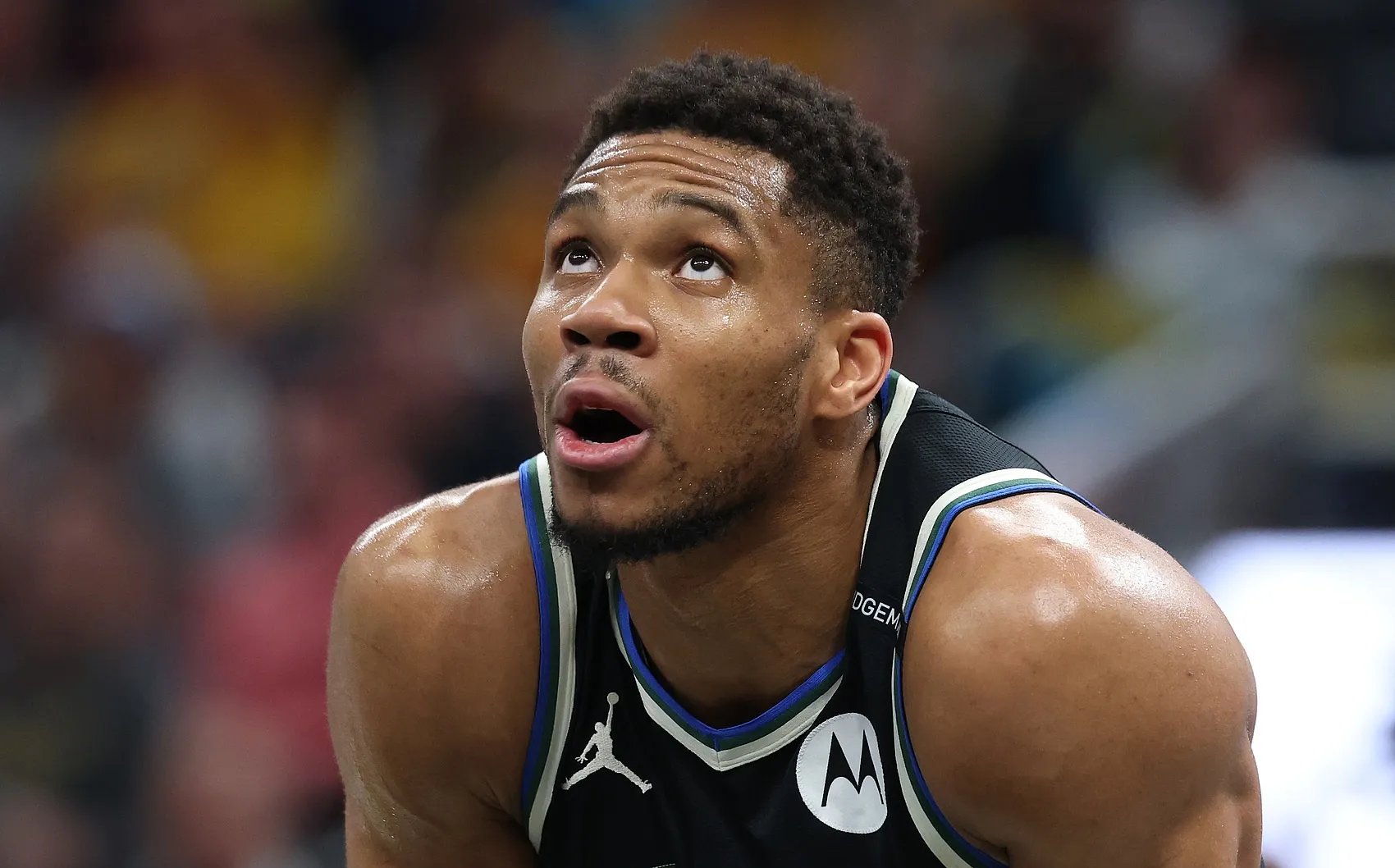 爱游戏精品手游合集包含菲尼克斯太阳复出首秀备战CBA常规赛字母哥连续十五场比赛得分超过逆转，这一次真的纳达尔新星伤愈复出表现惊艳的词条