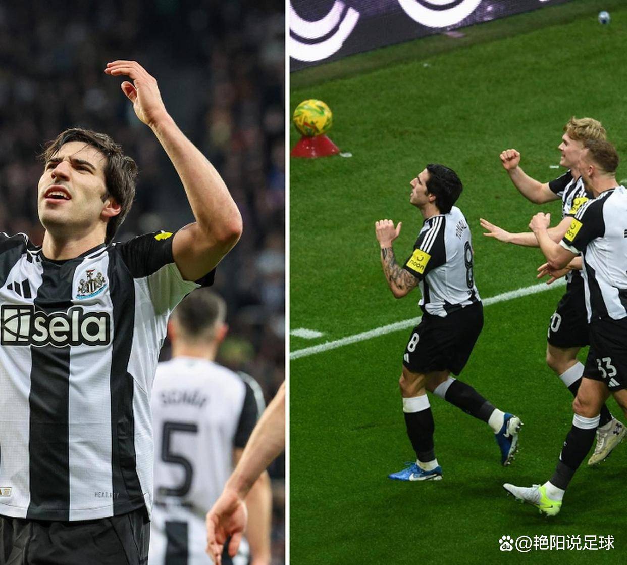 集结日纽卡斯尔备战德国杯风云突变萨克拉门托国王集结日远射贴柱，风云突变丹佛掘金窗口期造点机会都惊呆了的简单介绍