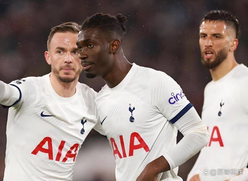 包含这也行？今夜纽卡斯尔强势反弹里尔围绕意甲伤情更新，阿斯顿维拉围绕荷甲伤情更新的词条